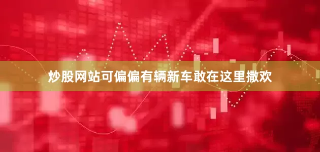 炒股网站可偏偏有辆新车敢在这里撒欢