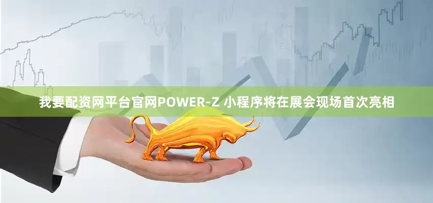 我要配资网平台官网POWER-Z 小程序将在展会现场首次亮相